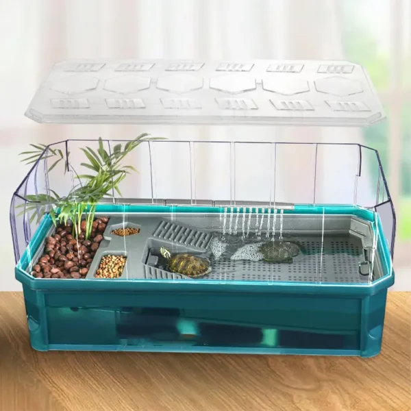 aquarium tortue avec plateforme