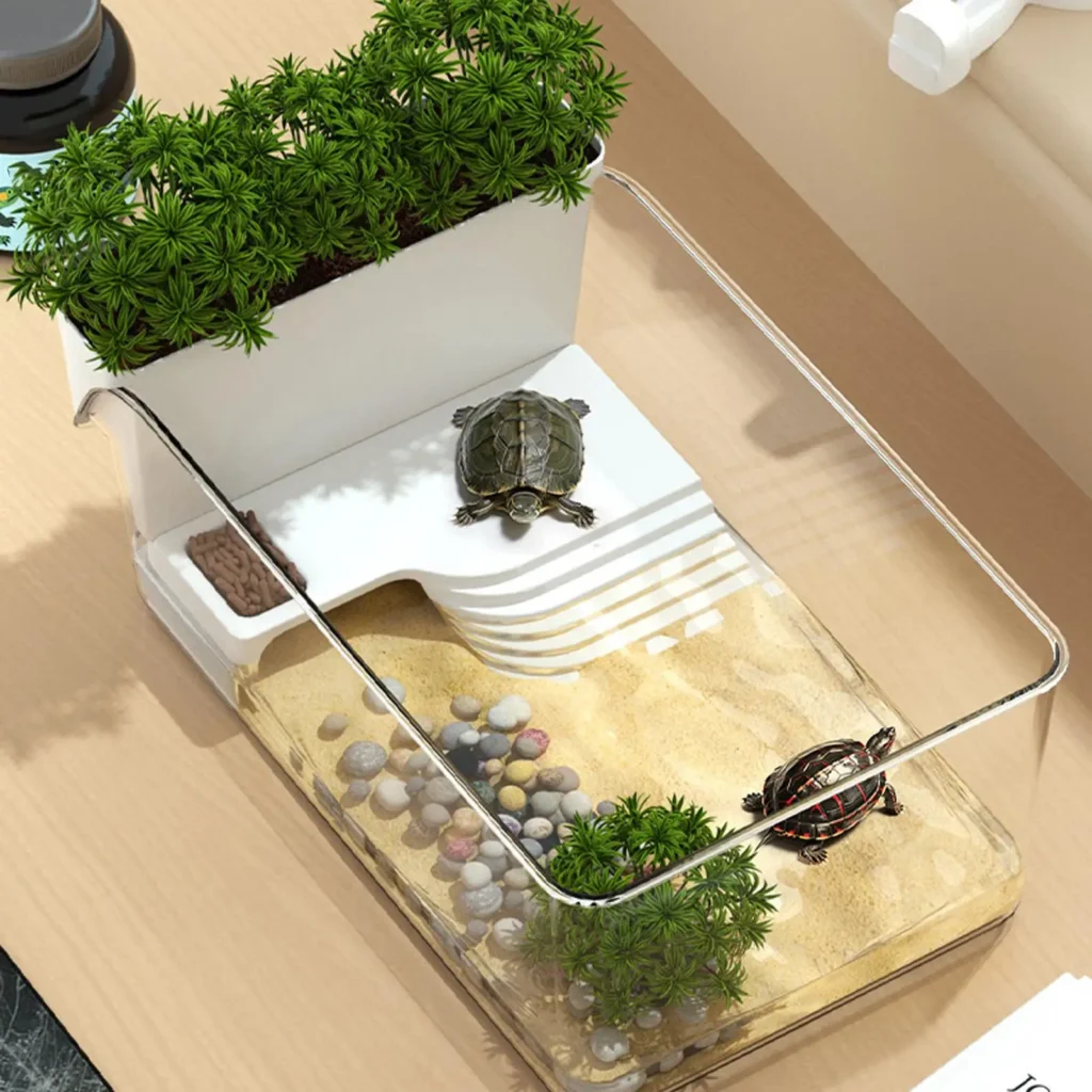 aquarium pour tortue miniature