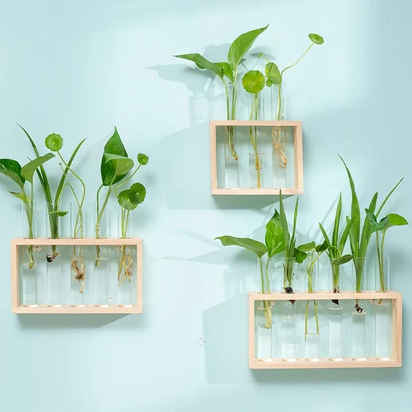 Porte-Plantes Hydroponique en Bois
