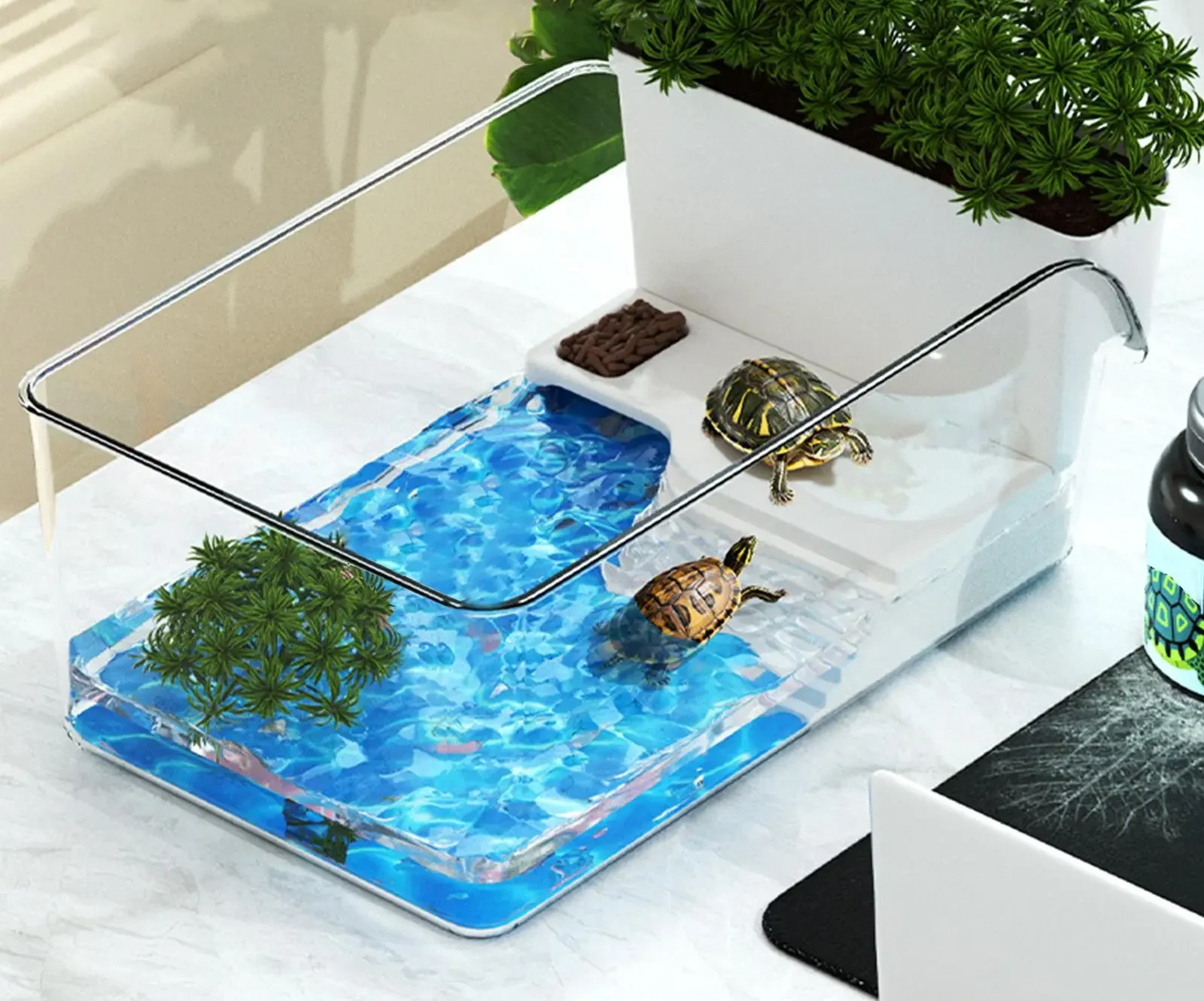 Aquarium pour tortue