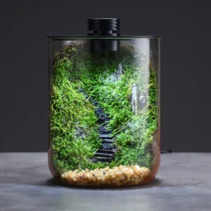 Terrarium avec lampe LED