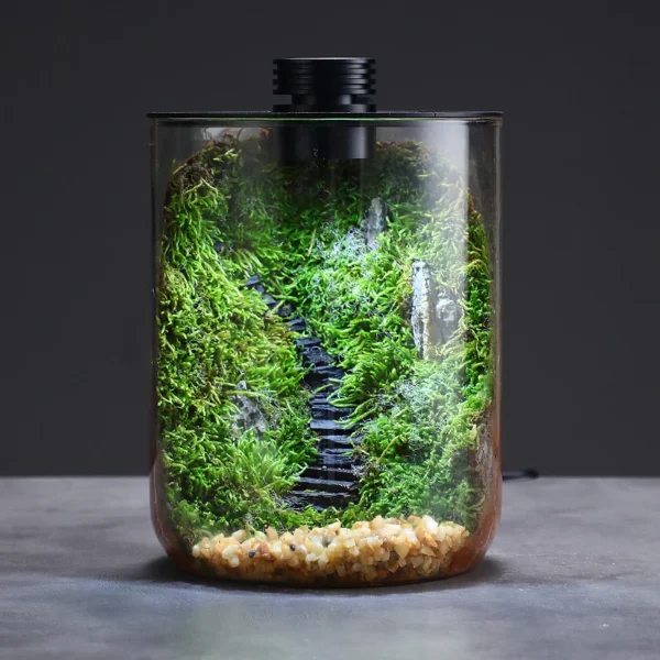 Terrarium avec lampe LED
