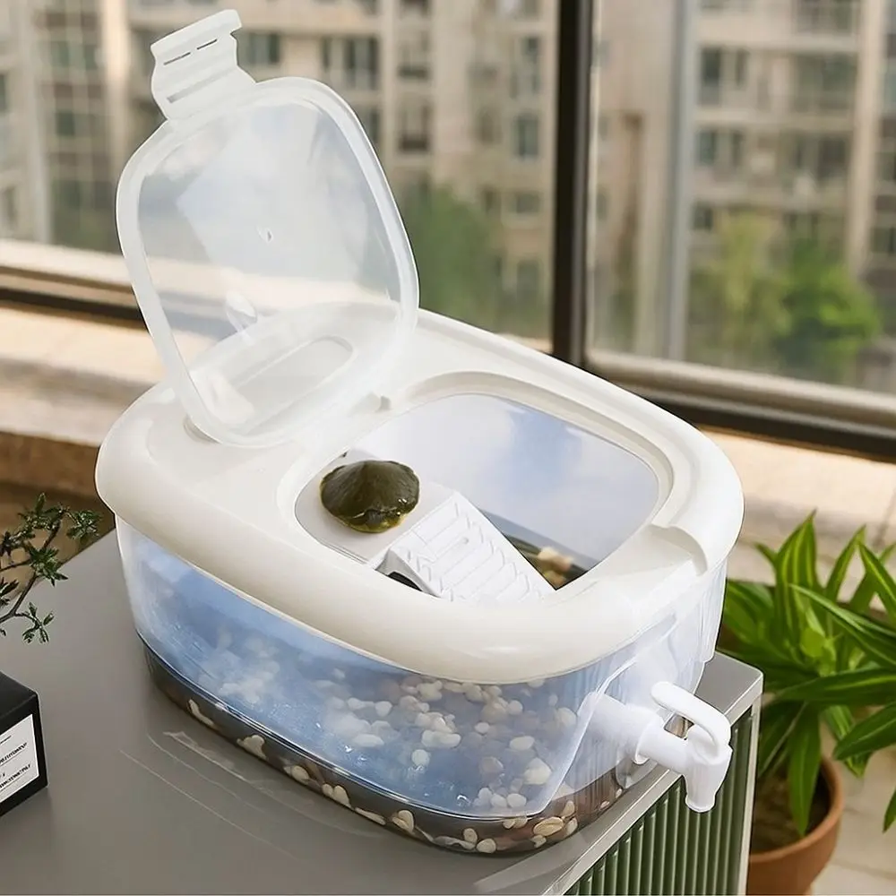 Aquarium tortue – Habitat écologique avec plateforme et vidange – Image 6