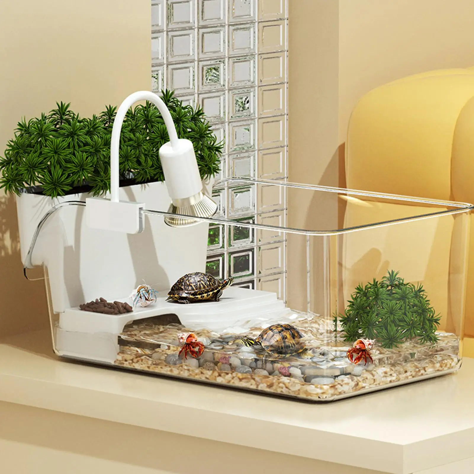 Aquarium pour tortue miniature avec zone de repos – Turtle Tank – Image 4