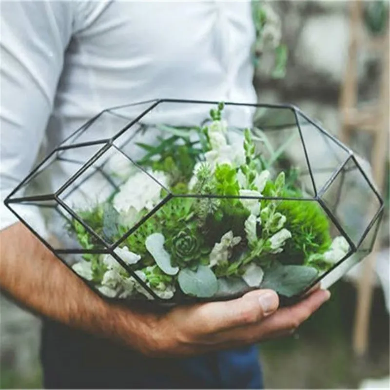 Terrarium en verre géométrique – Mini-serre design pour plantes d’intérieur