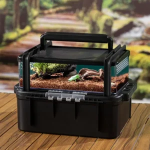 terrarium transportable multifonction