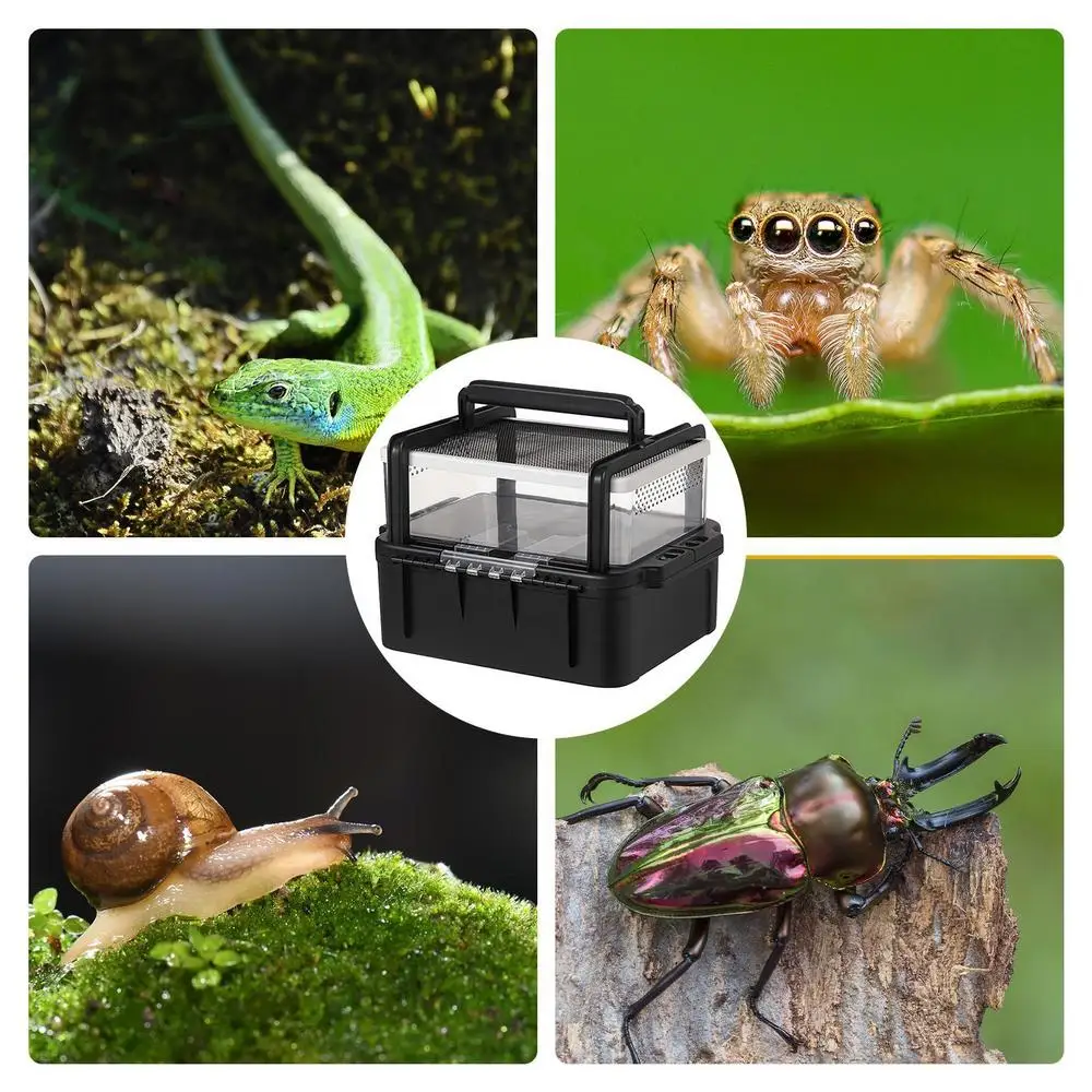 Terrarium transportable multifonction – Sécurisé pour reptiles – Image 5