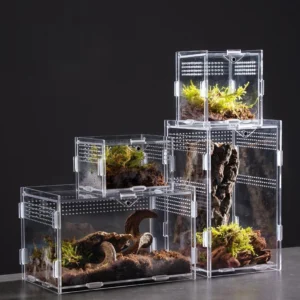 boîte d’élevage reptiles transparente