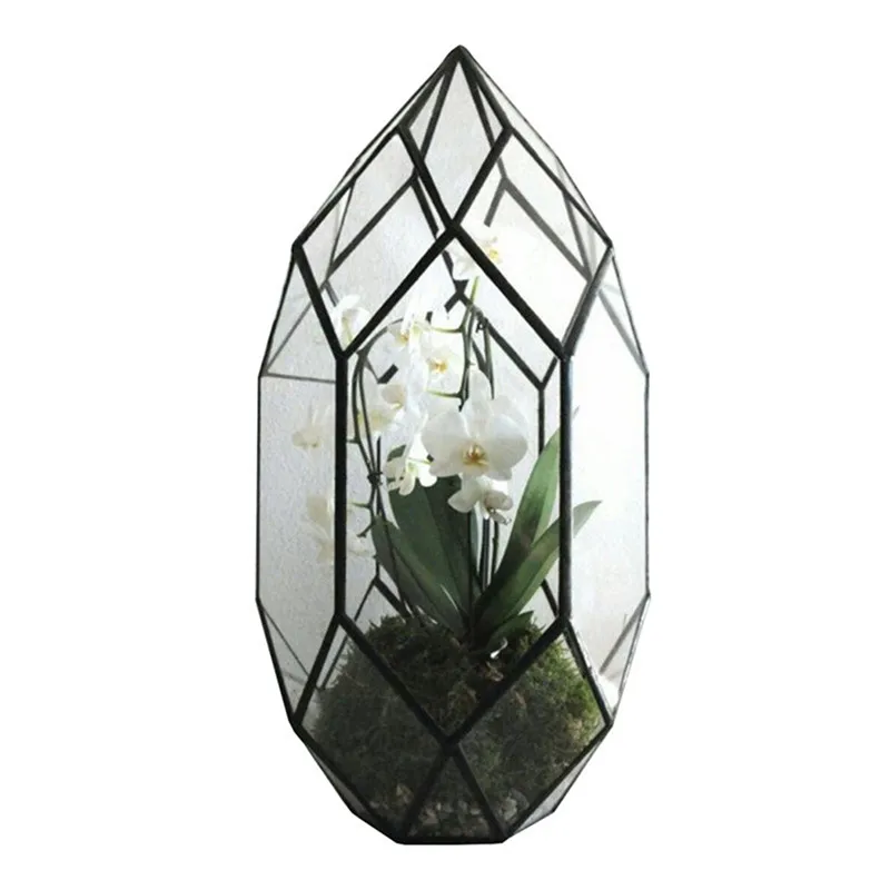 Terrarium en verre géométrique – Mini-serre | plantes d’intérieur – Image 5