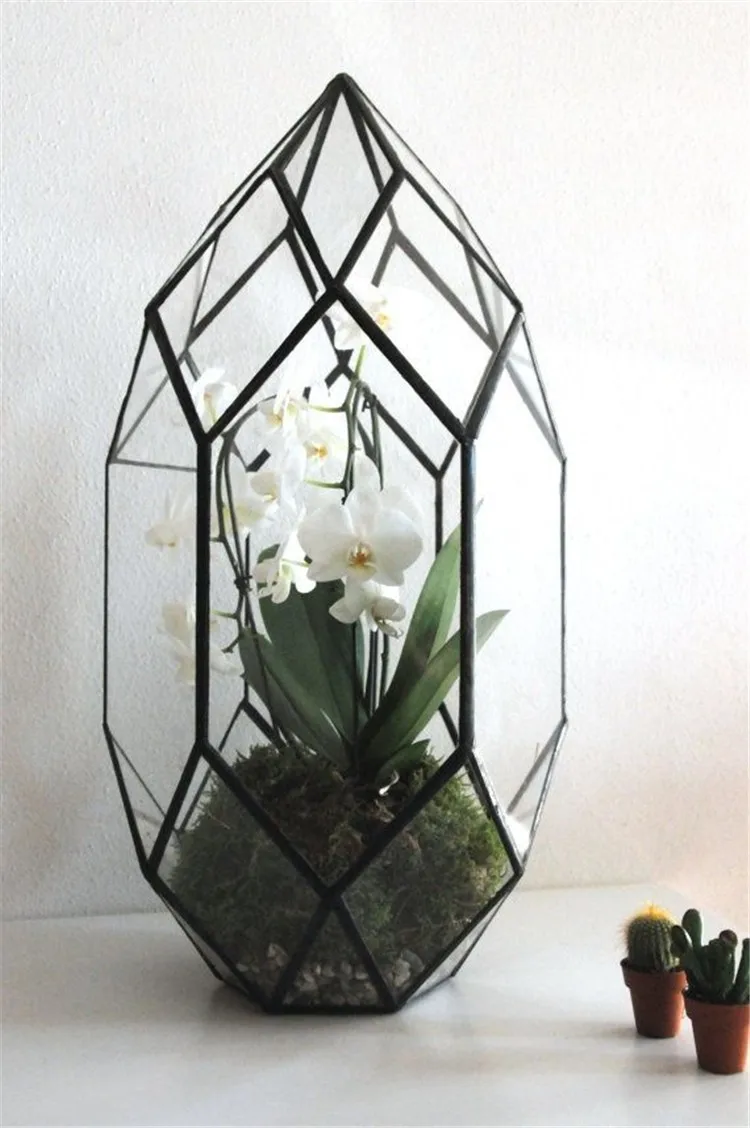 terrarium en verre géométrique