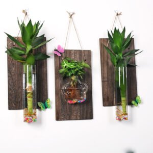 Vase Mural Bois & Verre – Hydroponie Déco Murale