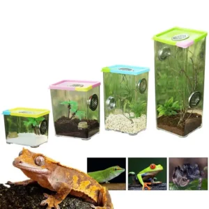 boîte de breeding reptiles