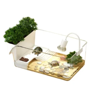 Aquarium pour Tortues