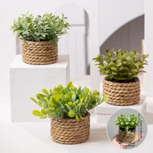 Plante Artificielle Eucalyptus en Pot Tressé – Décoration Végétale