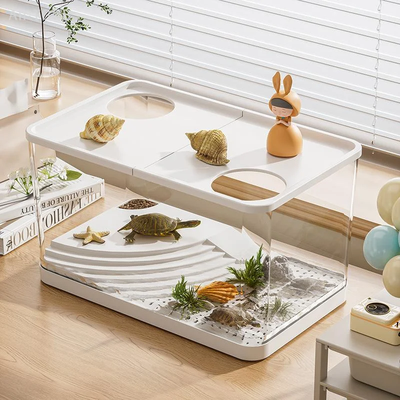 Écosystème miniature – Autonome, transparent, sans entretien – Image 2