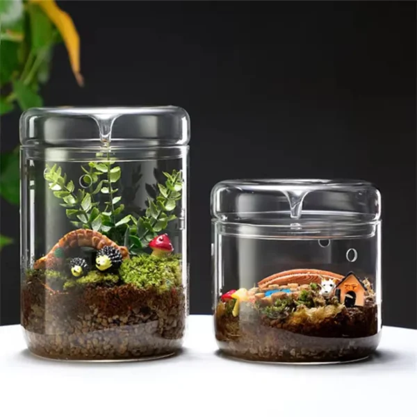 Écosystème miniature en verre avec mousse – décoration bureau apaisante TERRAVIE