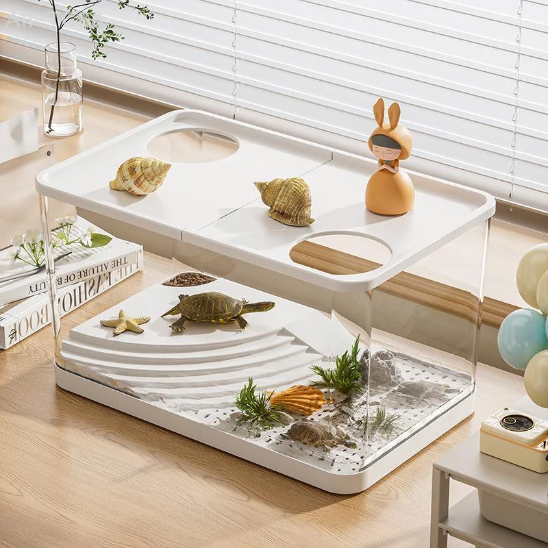 Écosystème miniature – Autonome, transparent, sans entretien – Image 8