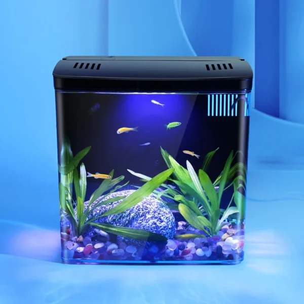 Mini bassin vivant avec poisson rouge – décoration bureau apaisante, filtre intégré, lumière douce