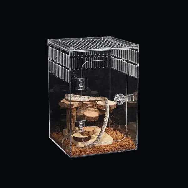Habitat en acrylique avec gecko – observation sécurisée et design épuré