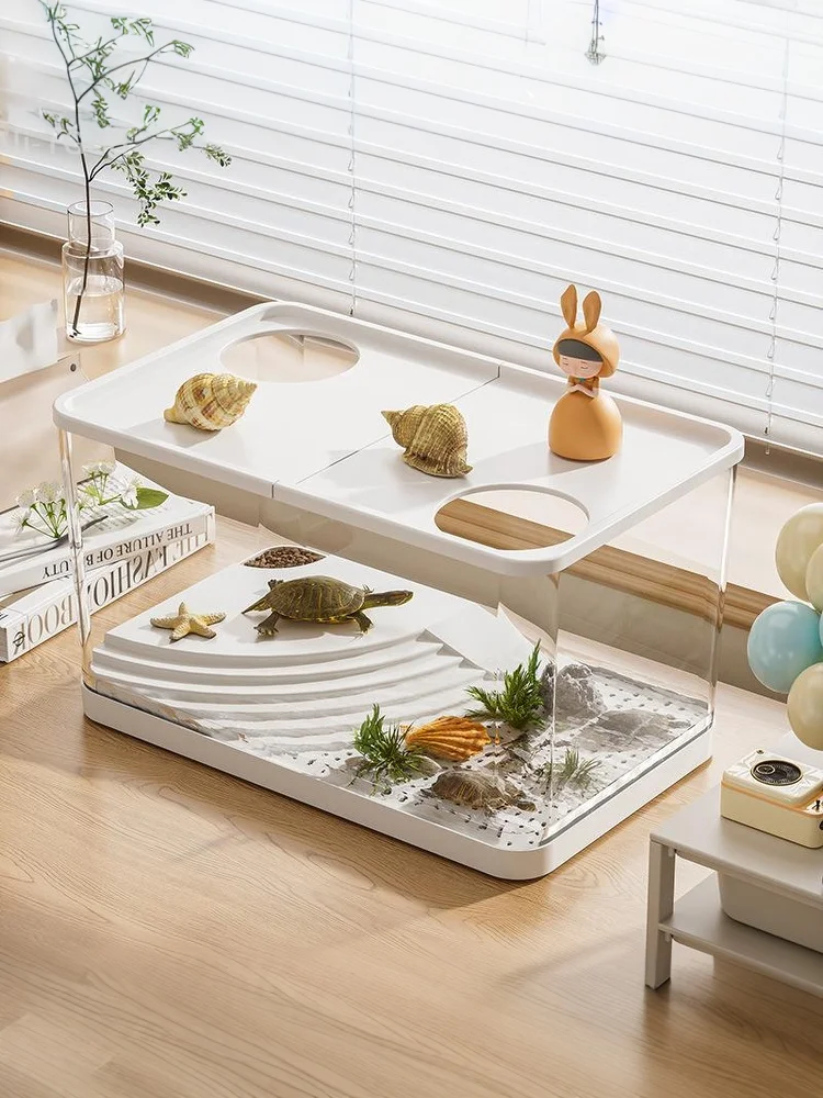 Écosystème miniature – Autonome, transparent, sans entretien – Image 10