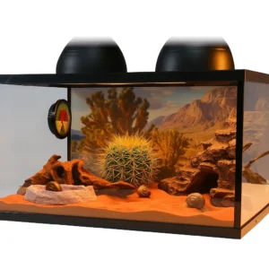 boîte d’alimentation pour escargot, contenant escargot verre, cadeau original escargot, boîte observation escargot, décoration apaisante maison, objet tendre pour enfants, écrin pour escargot, TERRAVIE escargot, boîte nourrissage escargot, cadeau pour amoureux de la nature