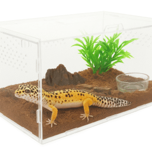 Terrarium pour gecko léopard transparent – habitat sécurisé, facile à nettoyer, design épuré