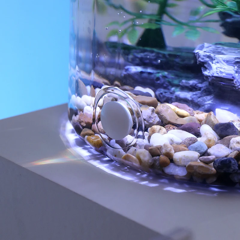 Aquarium de bureau avec LED – Éco-décor lumineux – Image 5