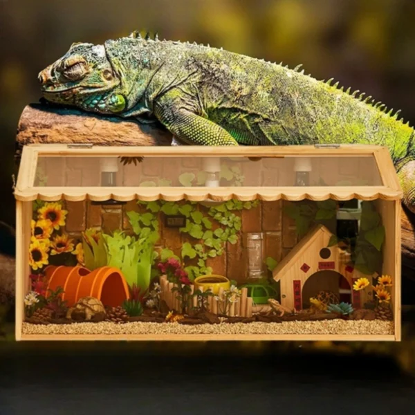 Terrarium reproduction reptiles