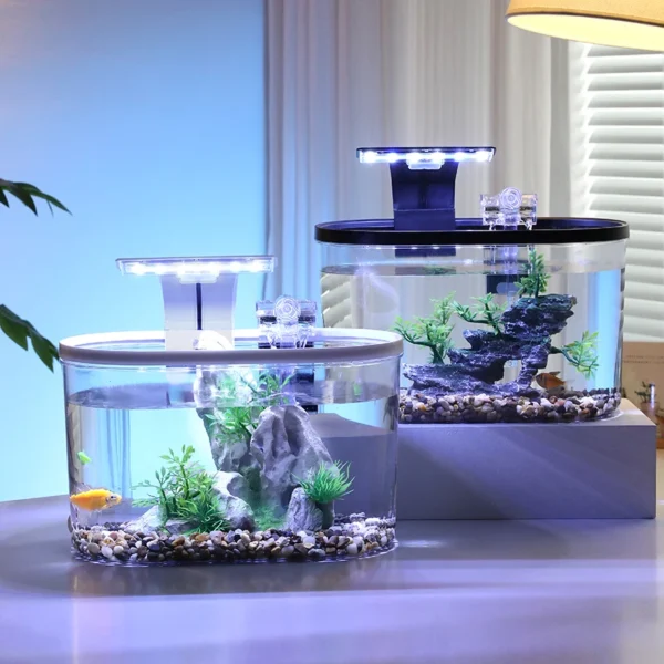 Aquarium de bureau avec LED – éco-décor lumineux