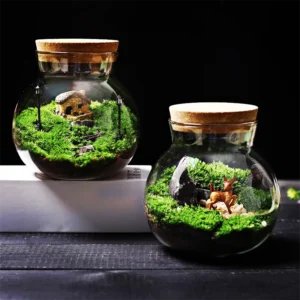 Vase verre bouchon liège