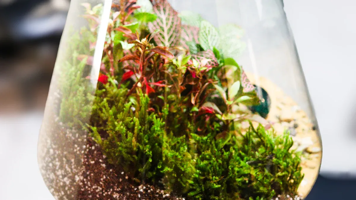 Sélection des plantes pour terrarium