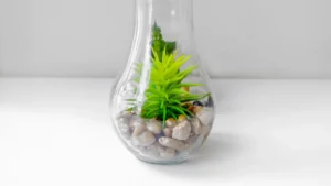 Terrarium lumineux LED conseils pour un environnement végétal sain