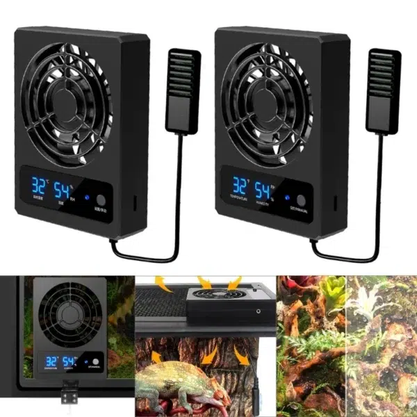 Ventilateur de terrarium avec affichage LED, fixé sur un terrarium pour gecko léopard – contrôle température reptiles