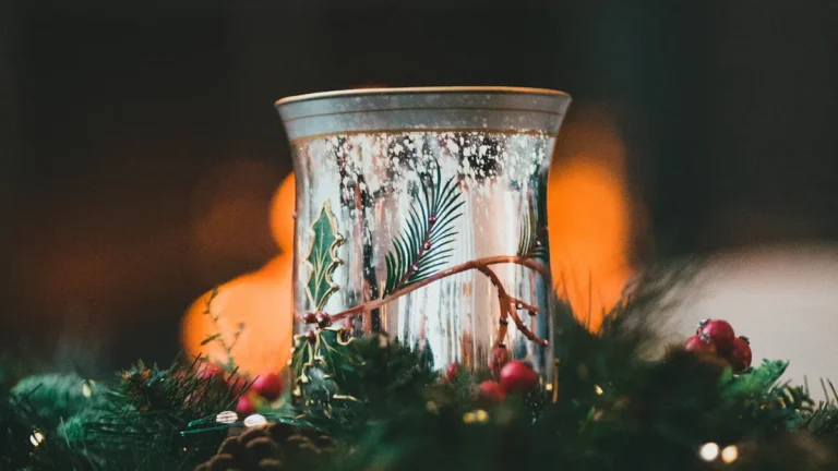 terrariums décoratifs et écosystèmes miniatures