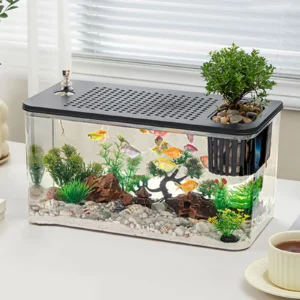 Terrarium transparent avec gecko et substrat naturel – enclos observation reptiles, usage éducatif ou bureau