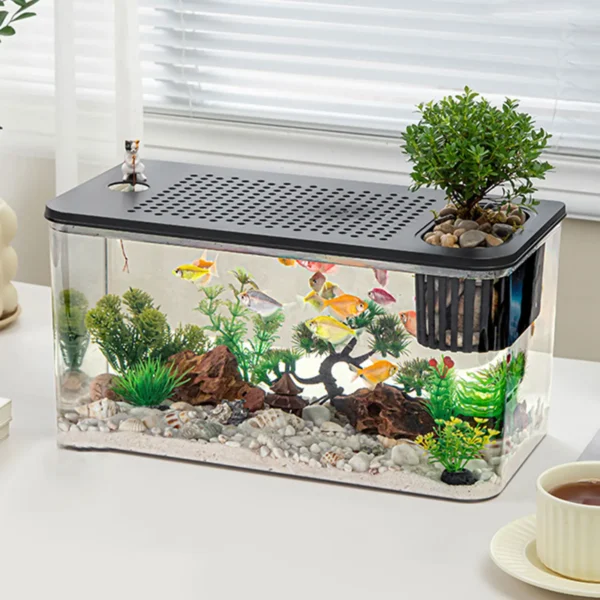 Terrarium transparent avec gecko et substrat naturel – enclos observation reptiles, usage éducatif ou bureau