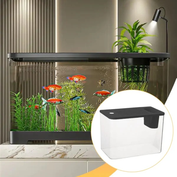 Aquaterrarium transparent avec betta et zone sèche – habitat polyvalent pour poissons, reptiles et amphibiens