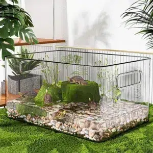 Aquaterrarium transparent D5359 avec tortue naine et substrat naturel – boîte observation reptiles, usage éducatif ou bureau