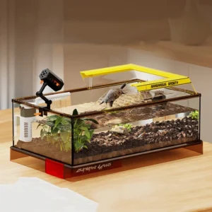 Aquaterrarium en verre avec tortue naine et plantes – décoration bureau nature, micro-écosystème vivant