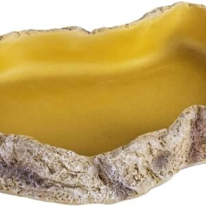 Gamelle eau/nourriture pour reptiles taille m